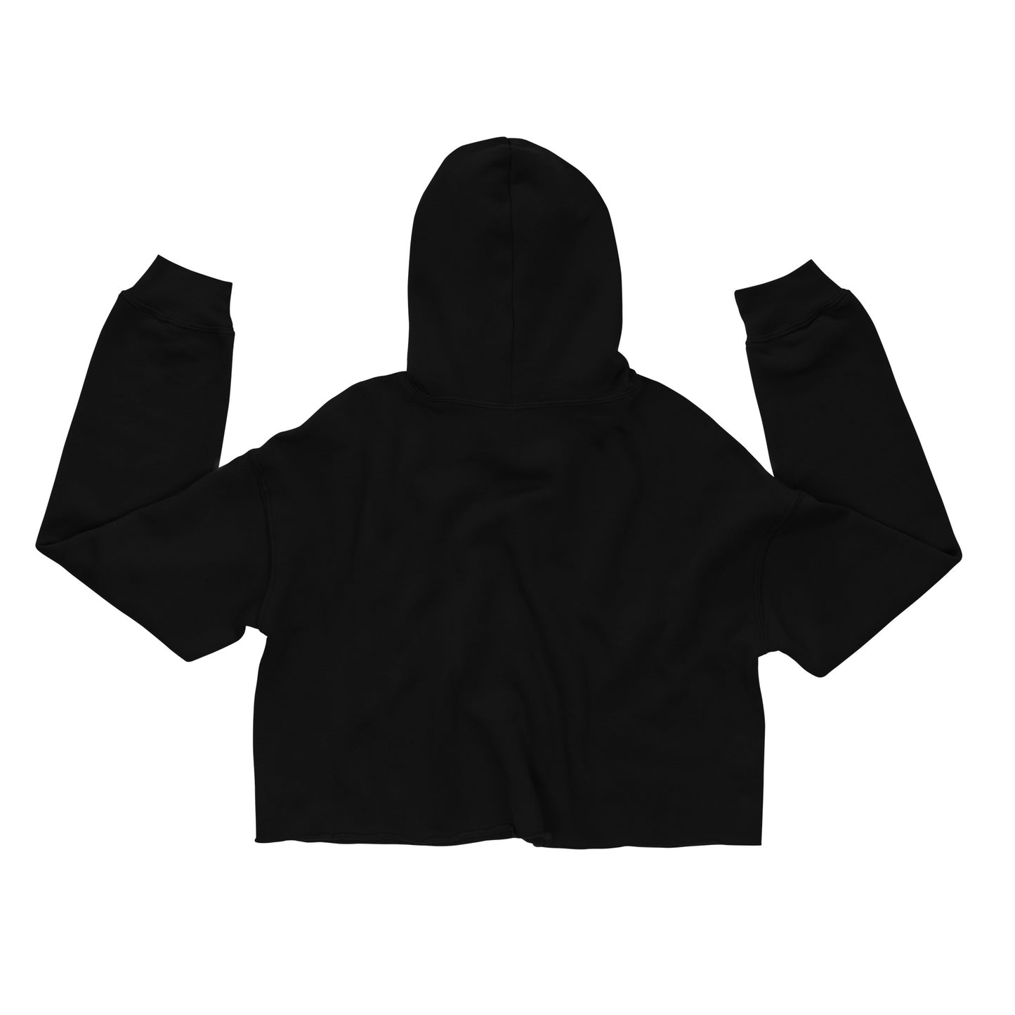 HUHS ✧˖° | Crop Hoodie