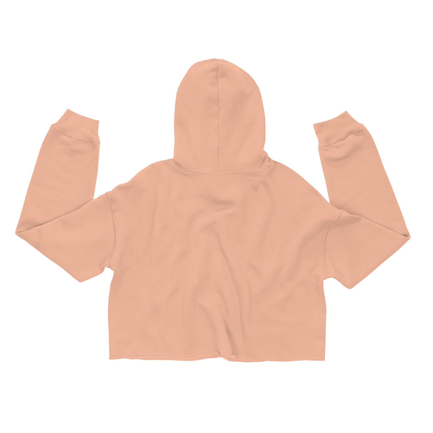 HUHS ✧˖° | Crop Hoodie